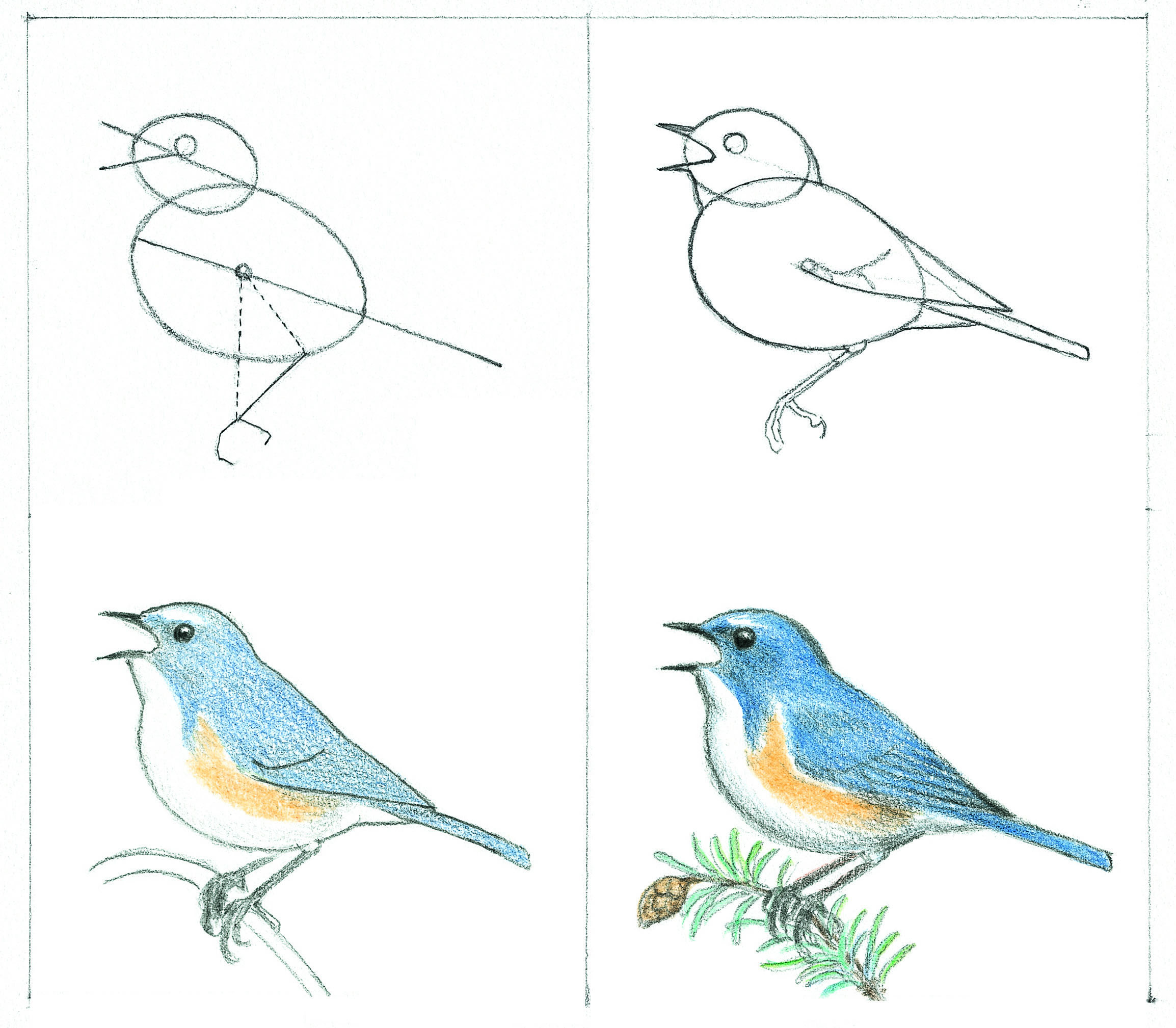 タマゴ式鳥絵塾 谷口高司先生イラスト講座のお知らせ Tce東京環境工科専門学校